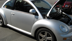 Click here for a larger image...